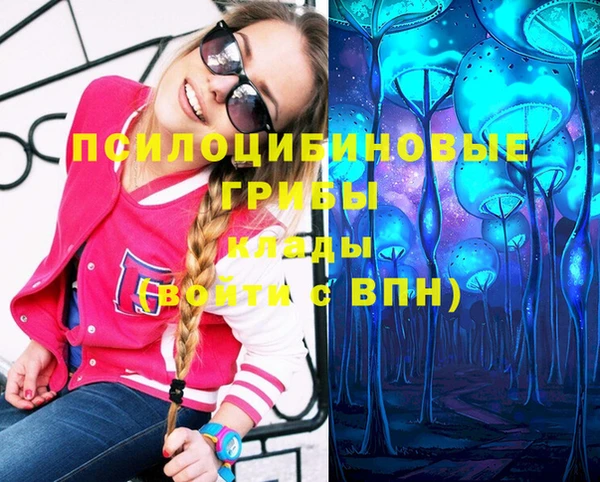 ПСИЛОЦИБИНОВЫЕ ГРИБЫ Балахна