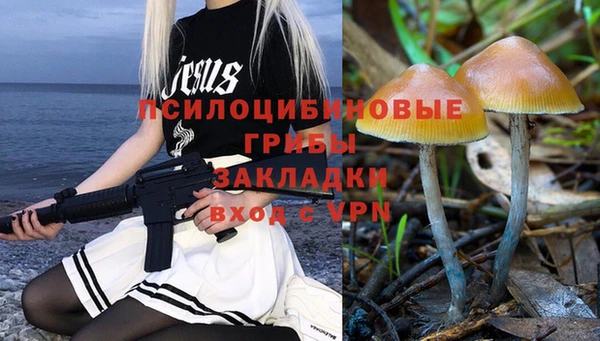 ПСИЛОЦИБИНОВЫЕ ГРИБЫ Балахна