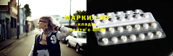 ПСИЛОЦИБИНОВЫЕ ГРИБЫ Балахна