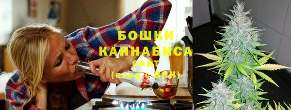 ПСИЛОЦИБИНОВЫЕ ГРИБЫ Балахна